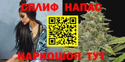 твердый Шелехов