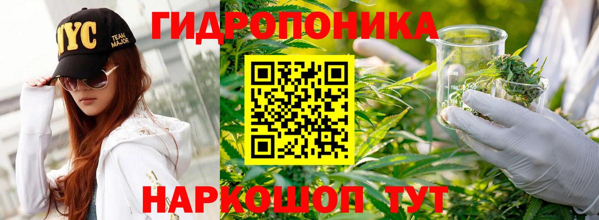 Асино  Конопля AK-47  Бошки марихуана LSD WEED  Вход с VPN 